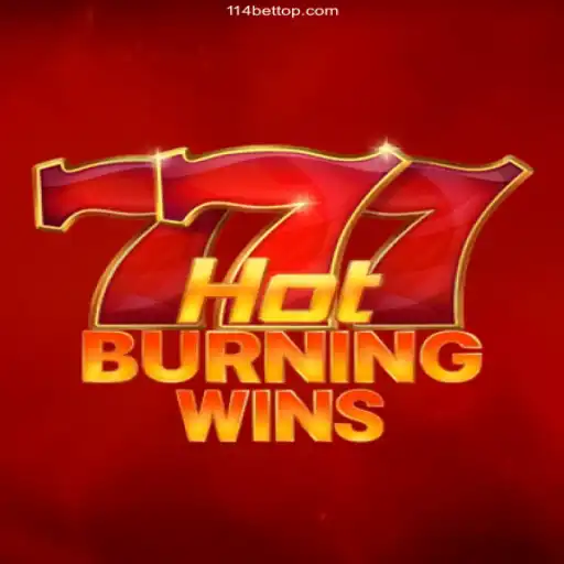 Experience the Excitement of HotBurningWins and 114bet.com Brasil
